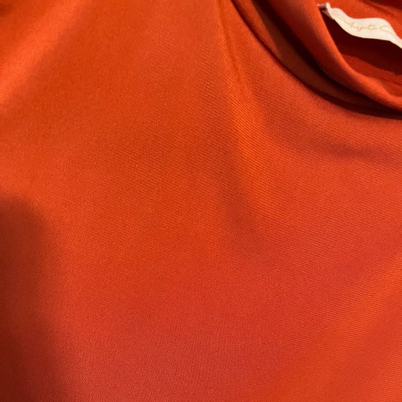 Rust Turtleneck with Slit Maternity Dress by Anyuta Couture - Picture 6 of 9